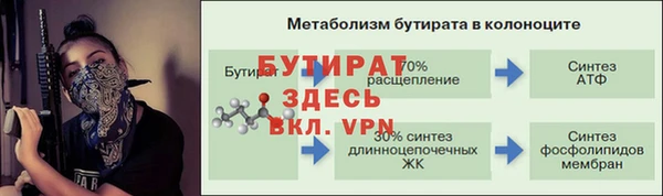 сатива Сосновый Бор