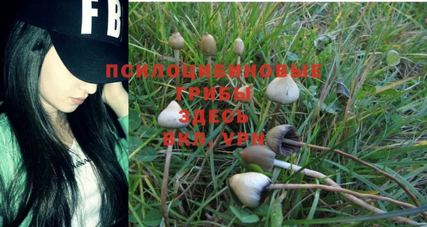 наркотики Алексеевка